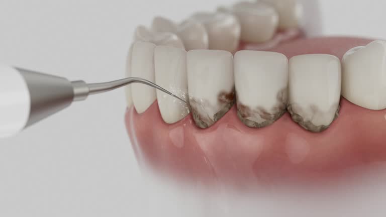 Reliable Dental contractor in Independent Hill, VA by Dentist Open Now